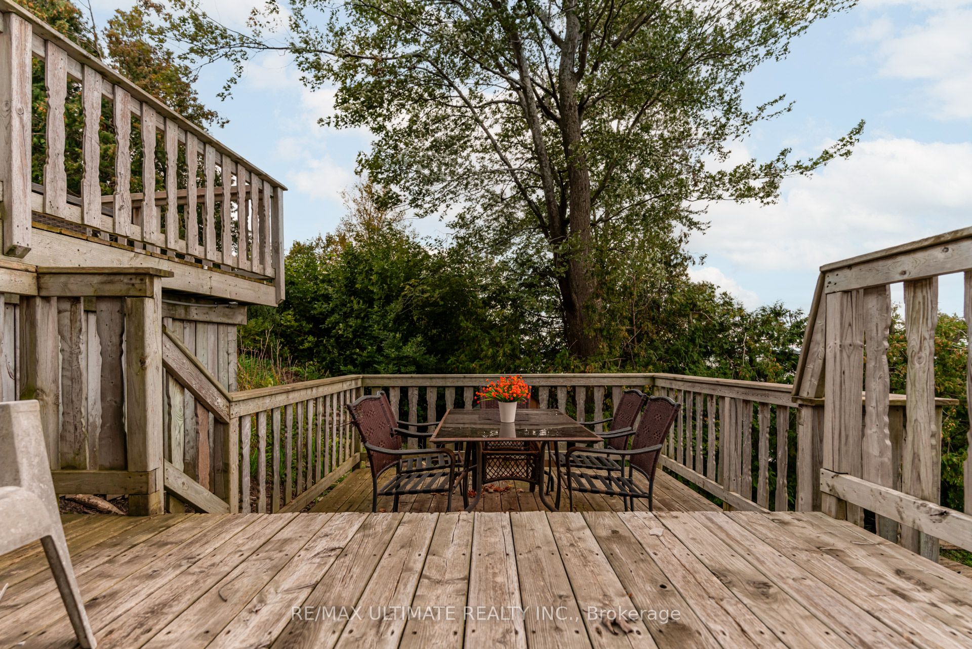 Listing 13773 Image