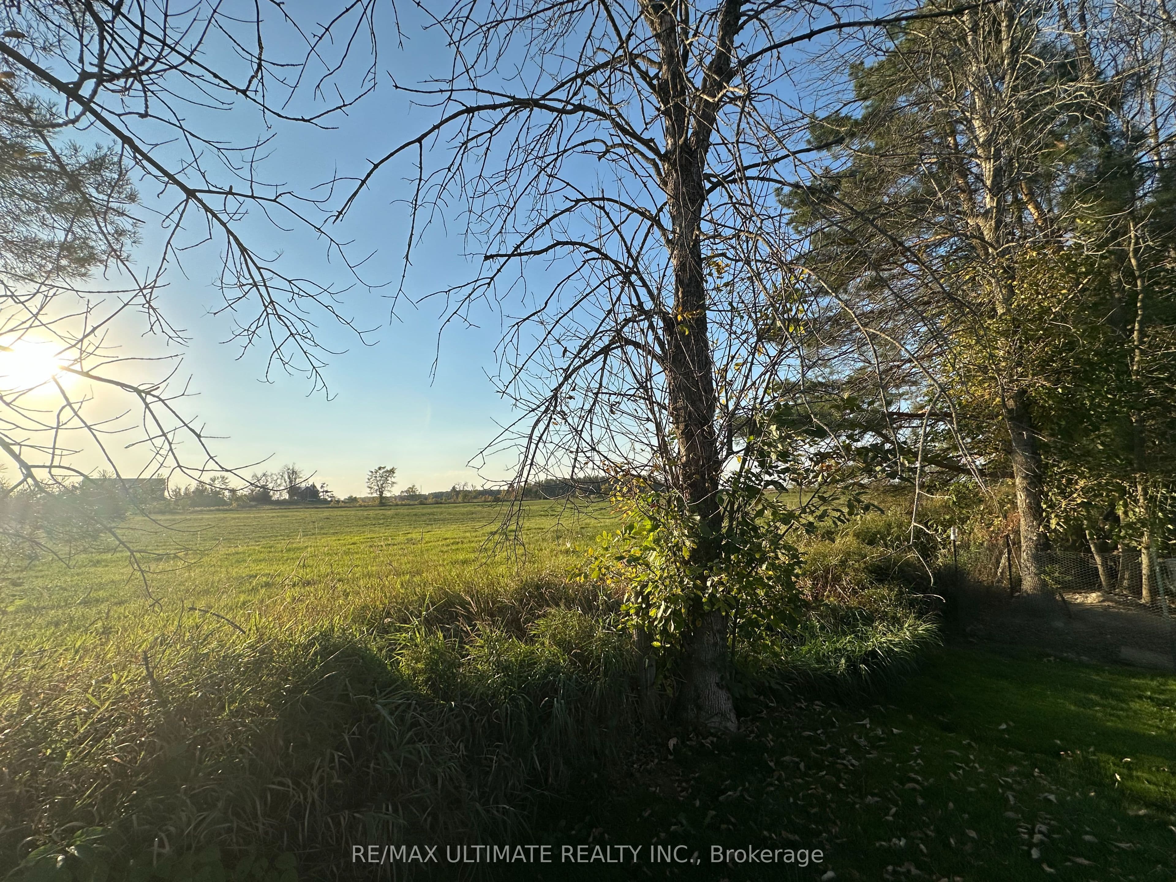 Listing 23948 Image