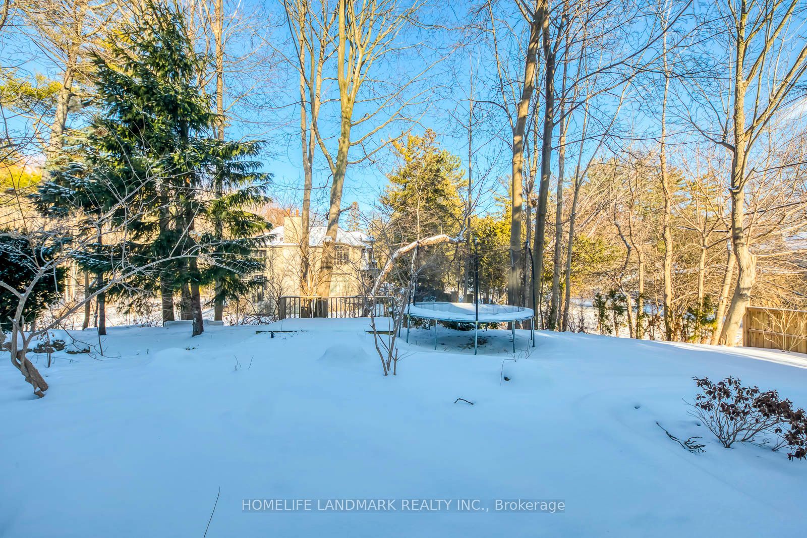 Listing 29526 Image