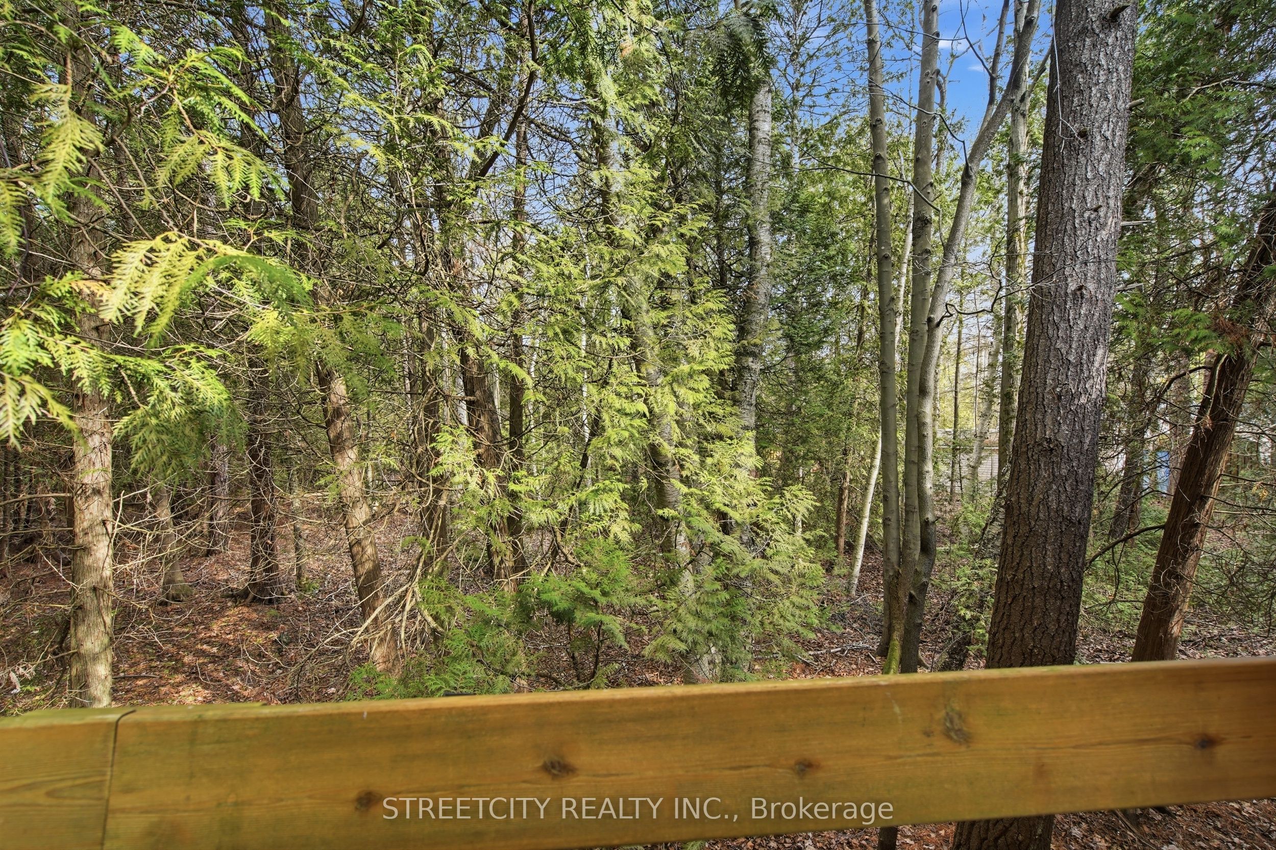 Listing 22547 Image