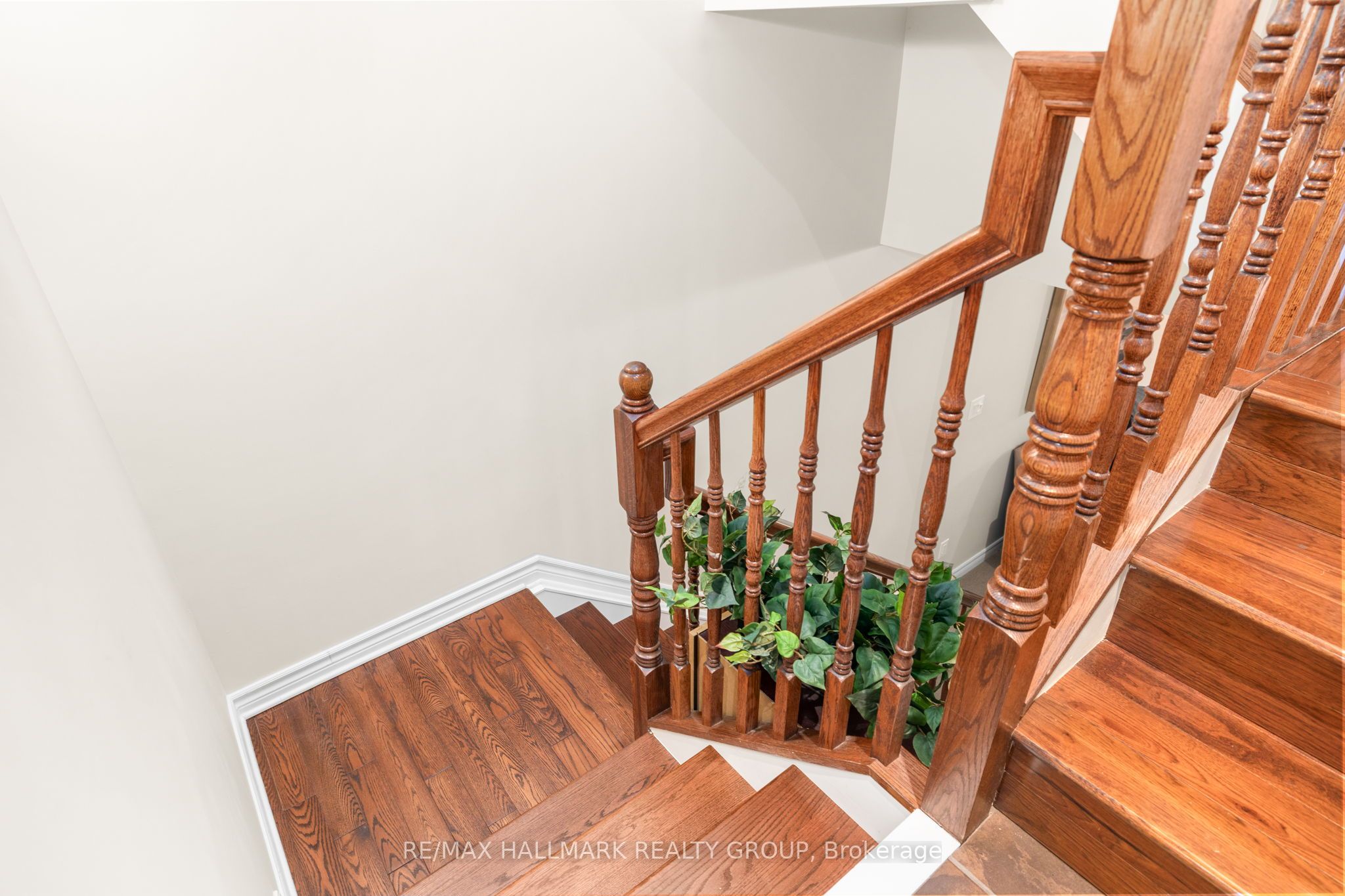 Listing 18835 Image