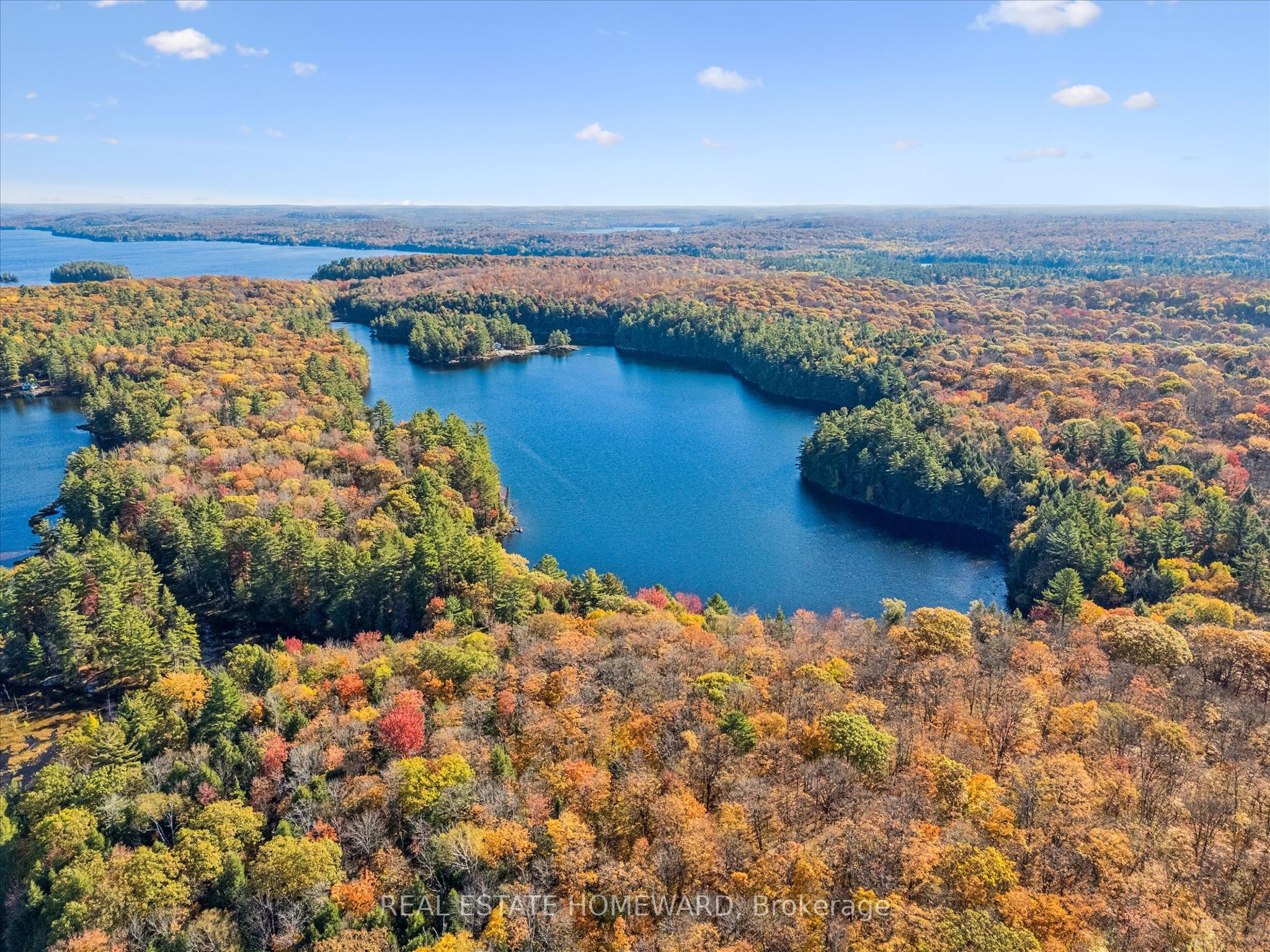 Listing 29746 Image