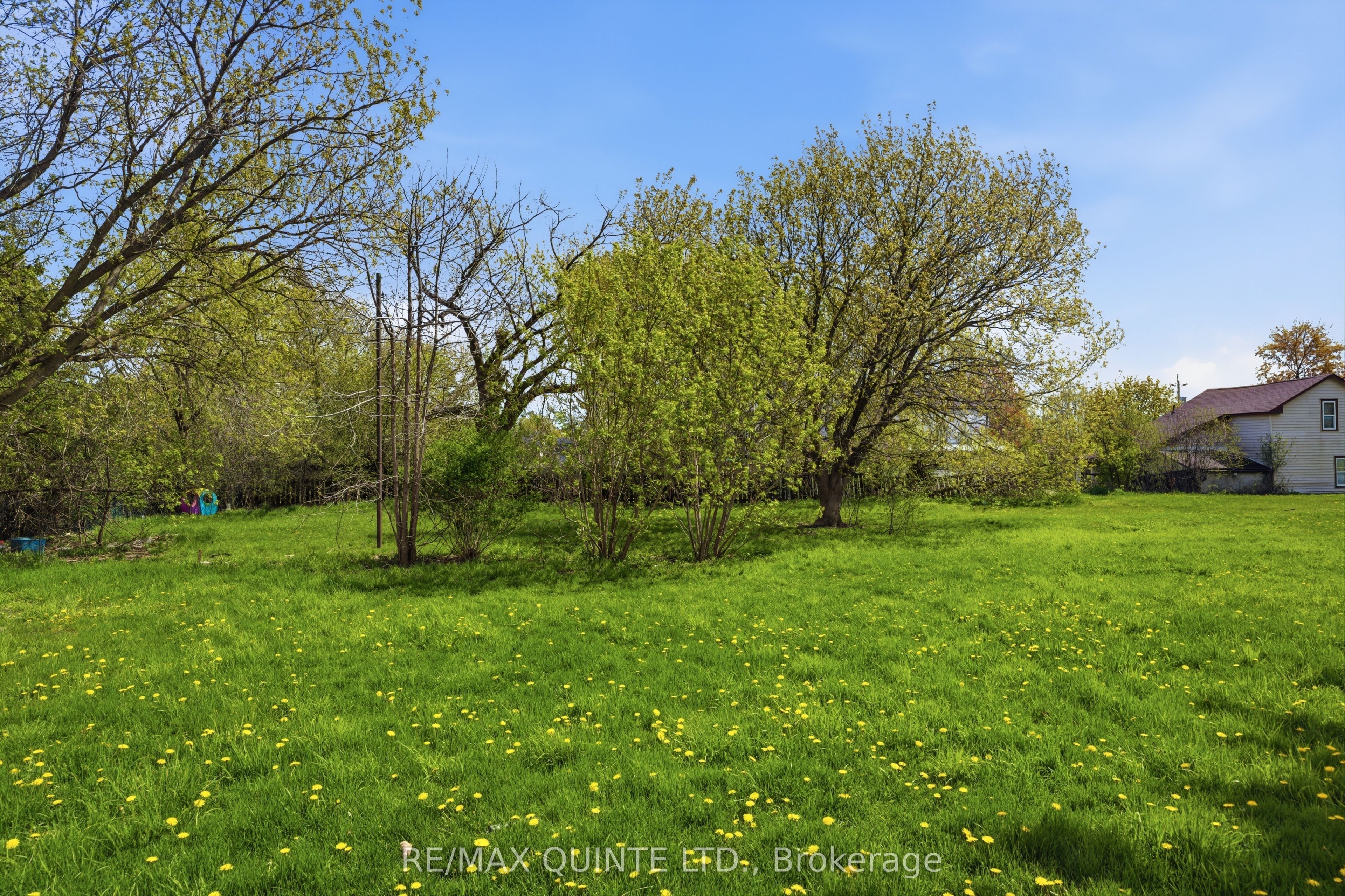 Listing 27151 Image