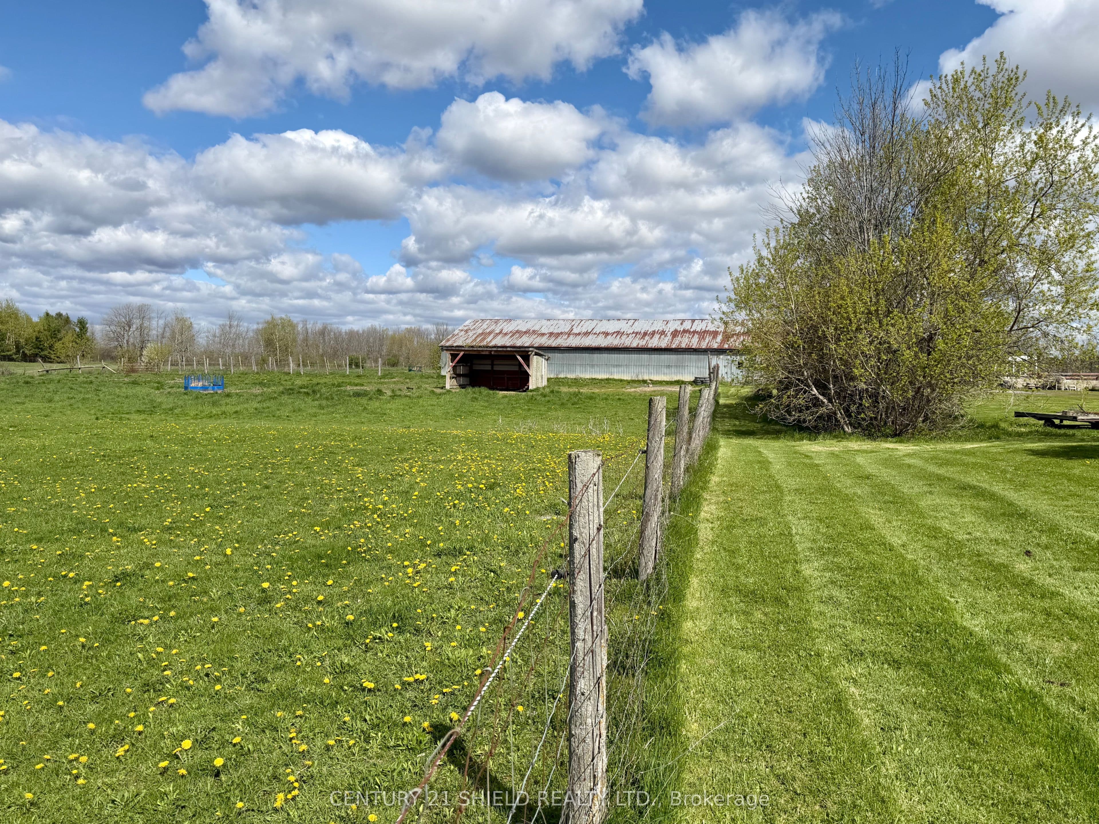 Listing 18767 Image