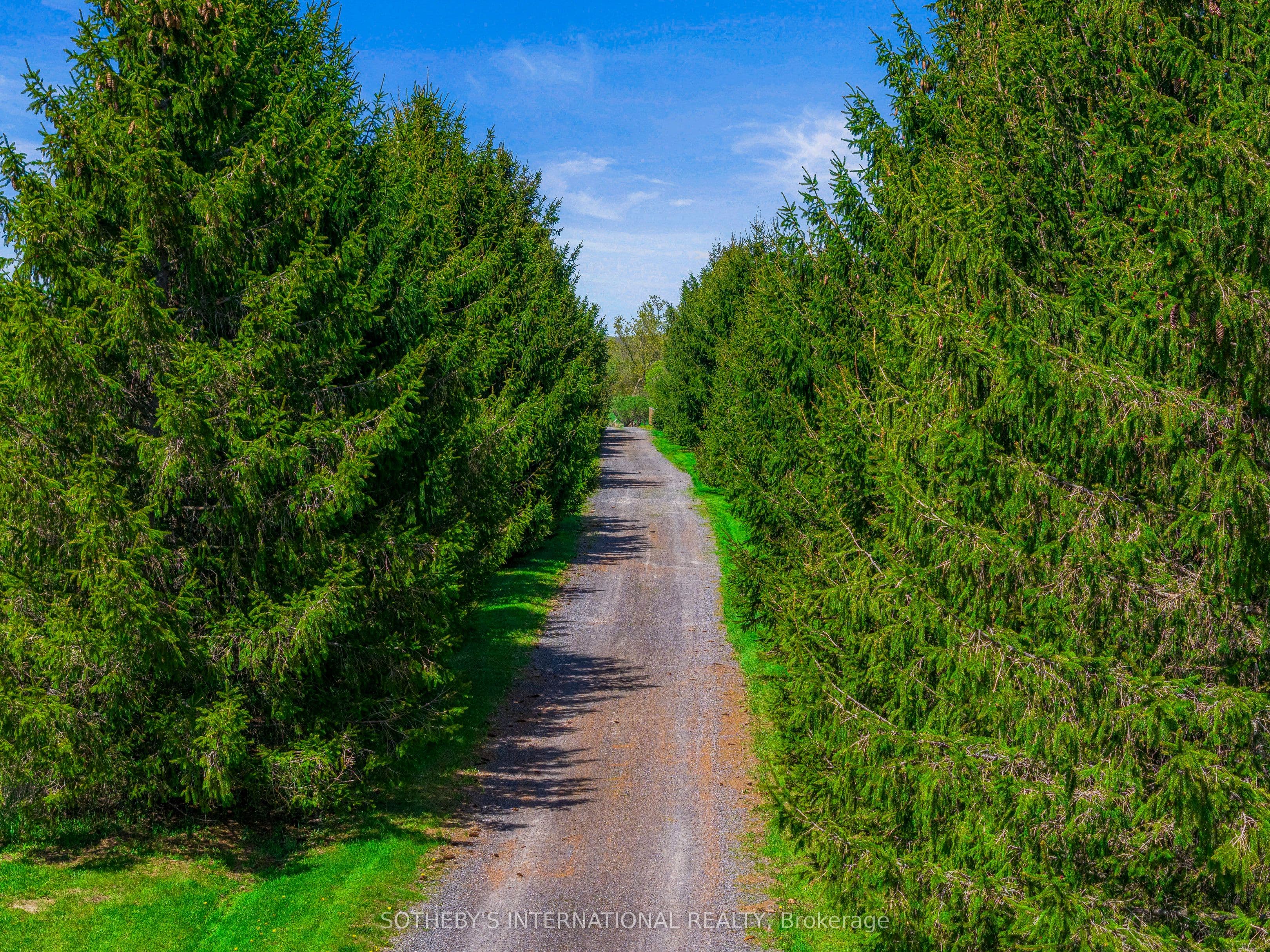 Listing 2725 Image