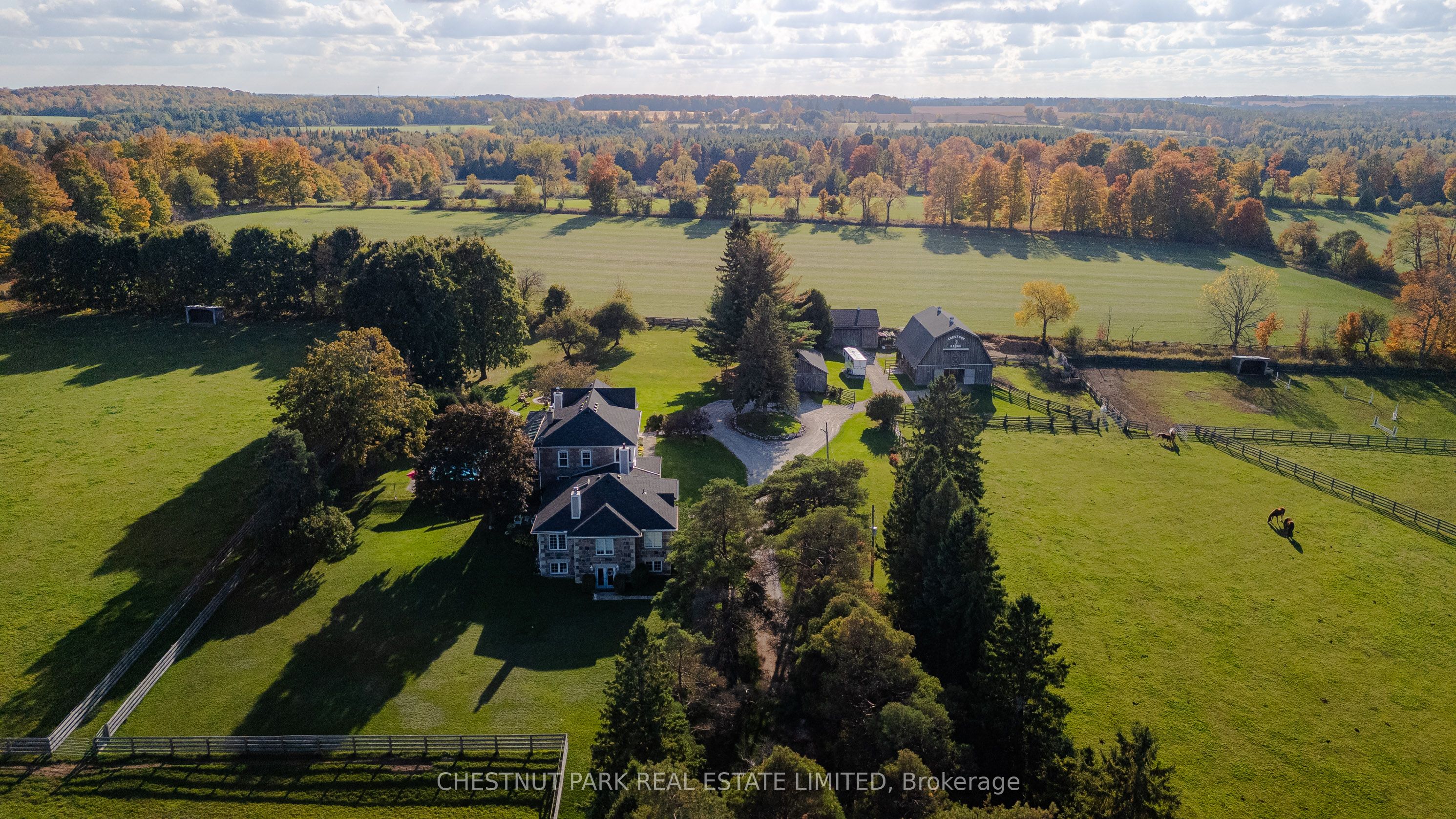 Listing 13697 Image