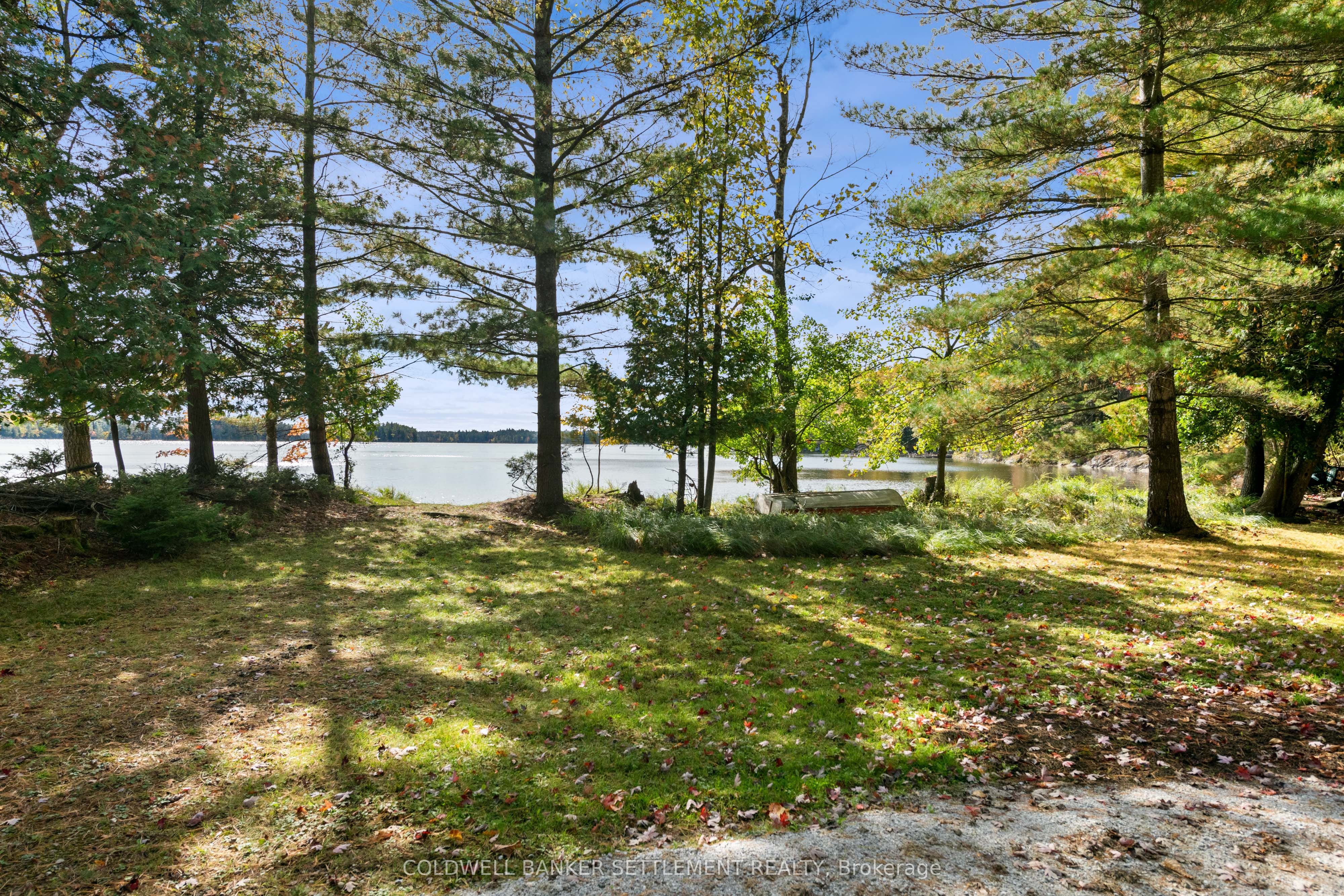 Listing 11671 Image