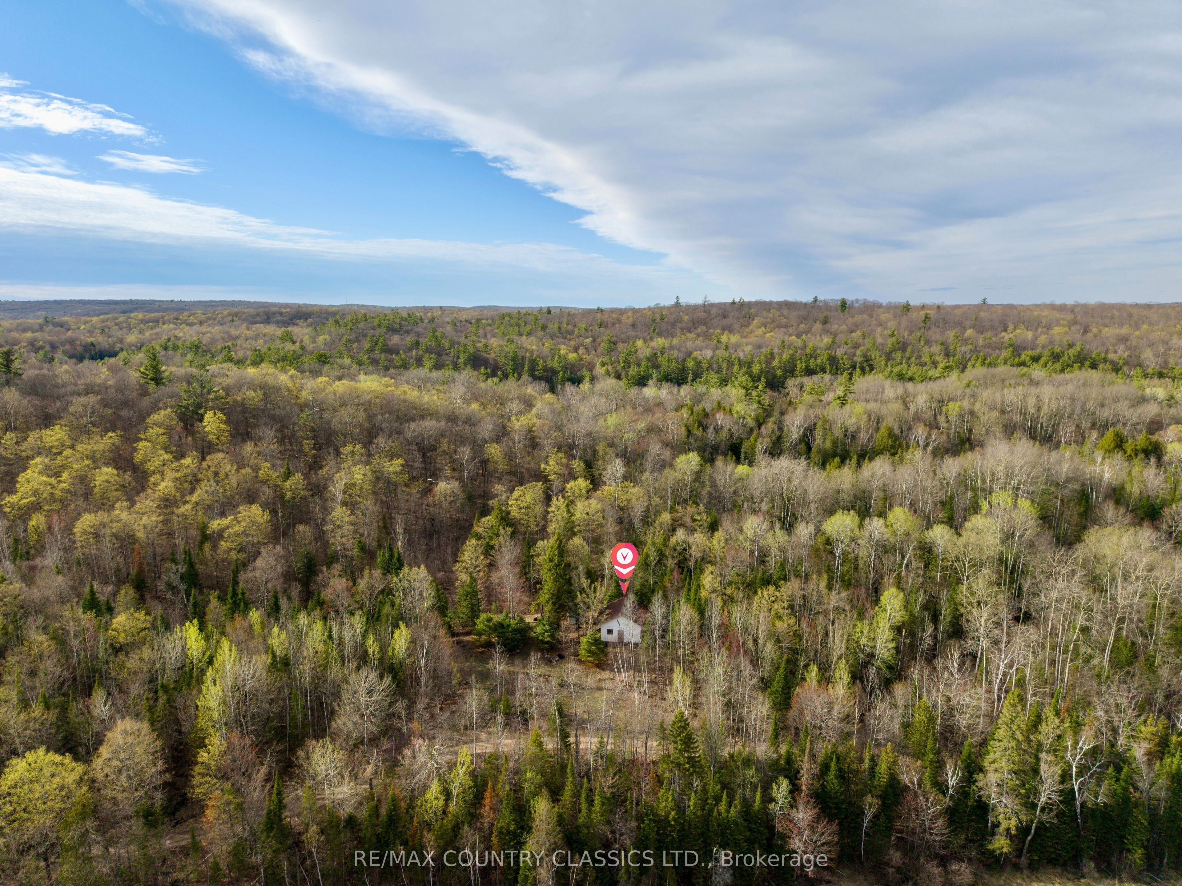 Listing 10591 Image
