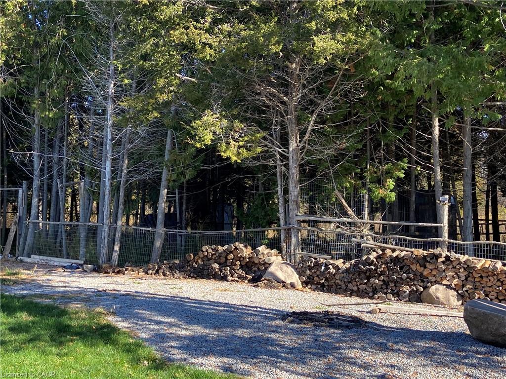 Listing 156659 Image