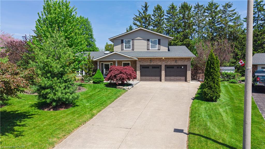 Listing 42339 Image