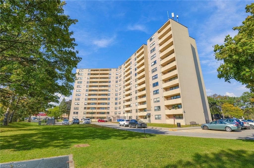 Main Property