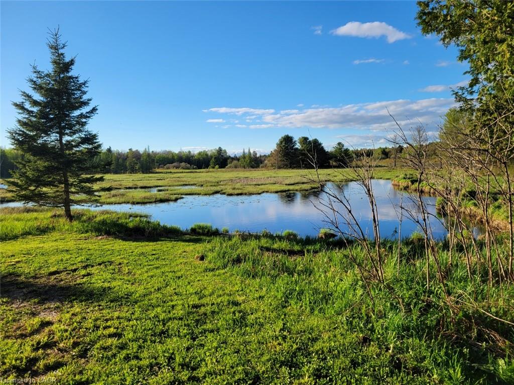 Listing 57299 Image
