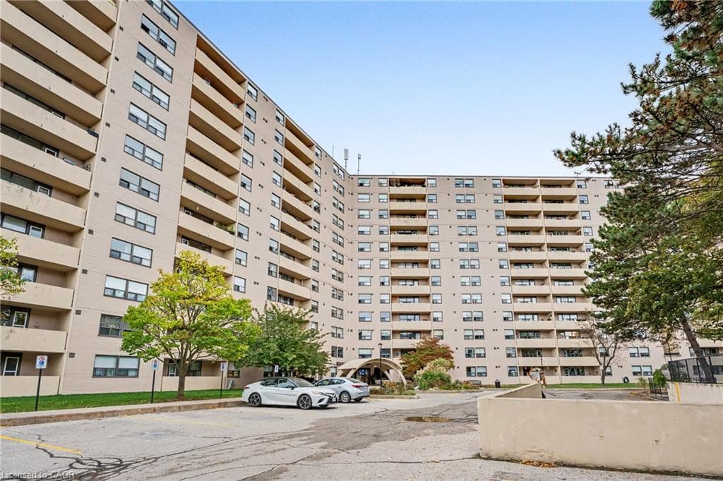 Main Property