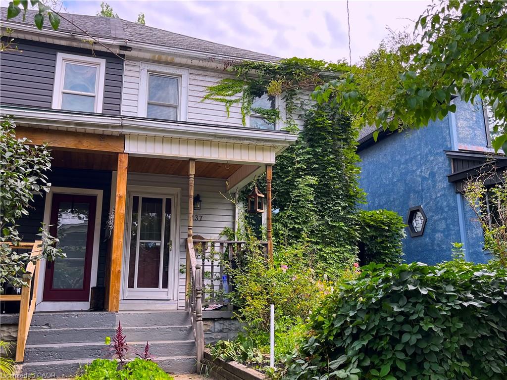 Listing 258484 Image