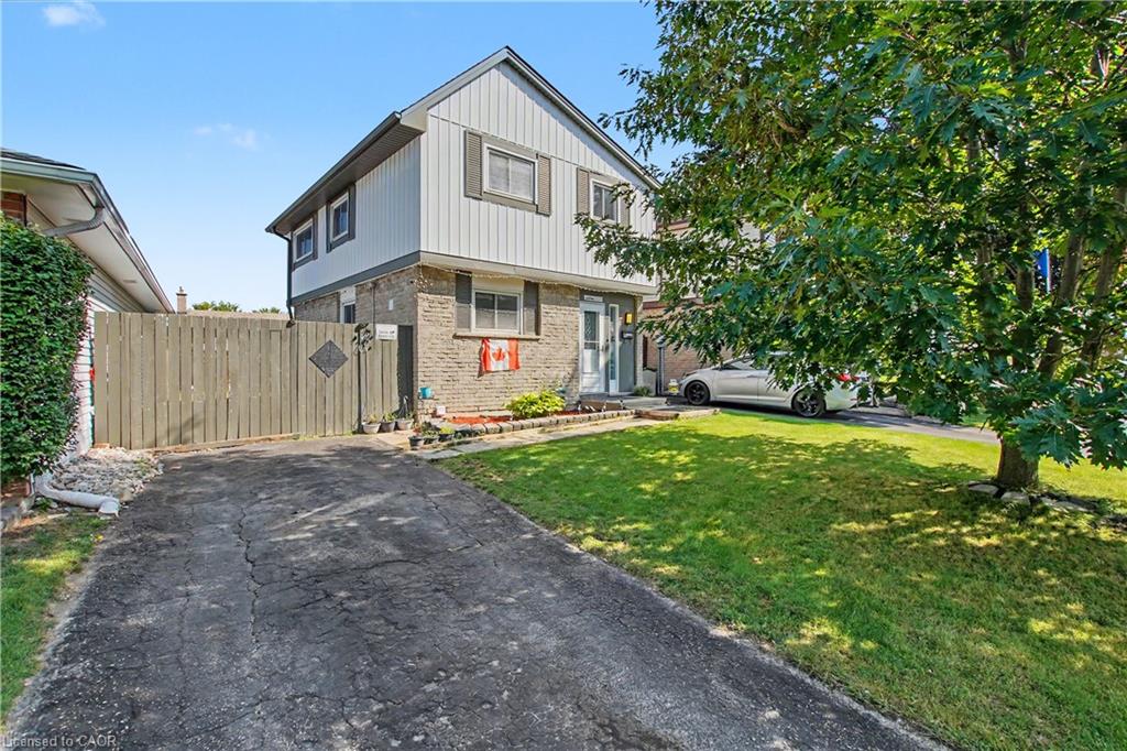 Main Property
