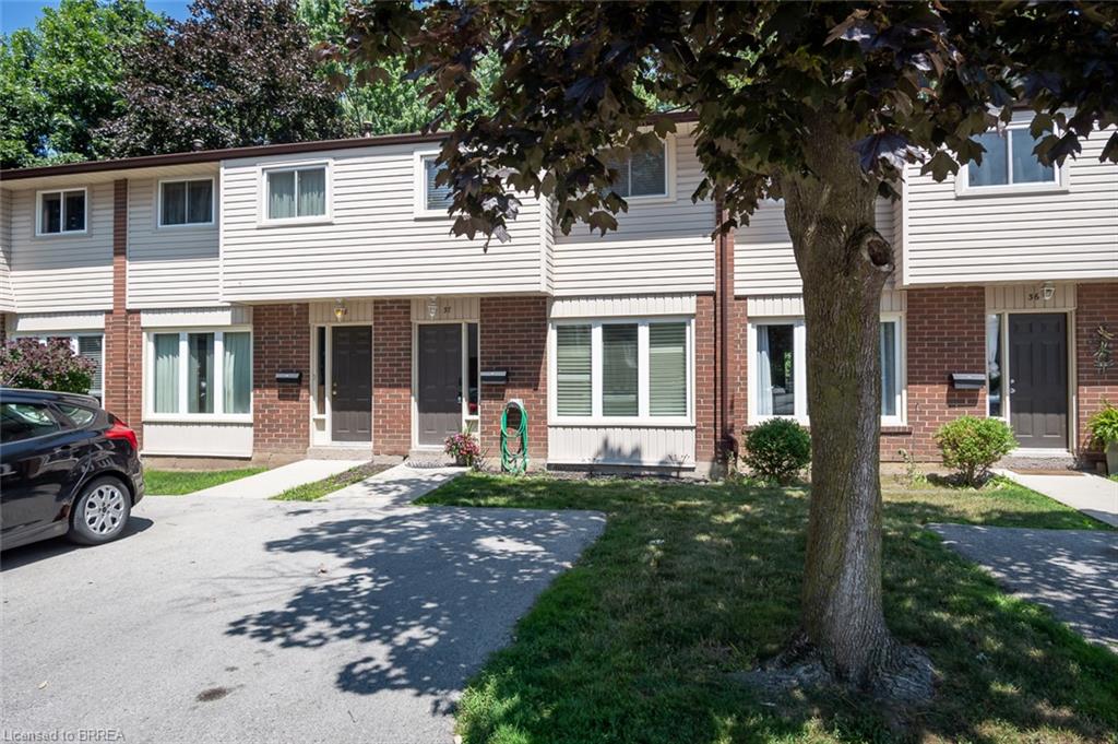 Listing 193485 Image