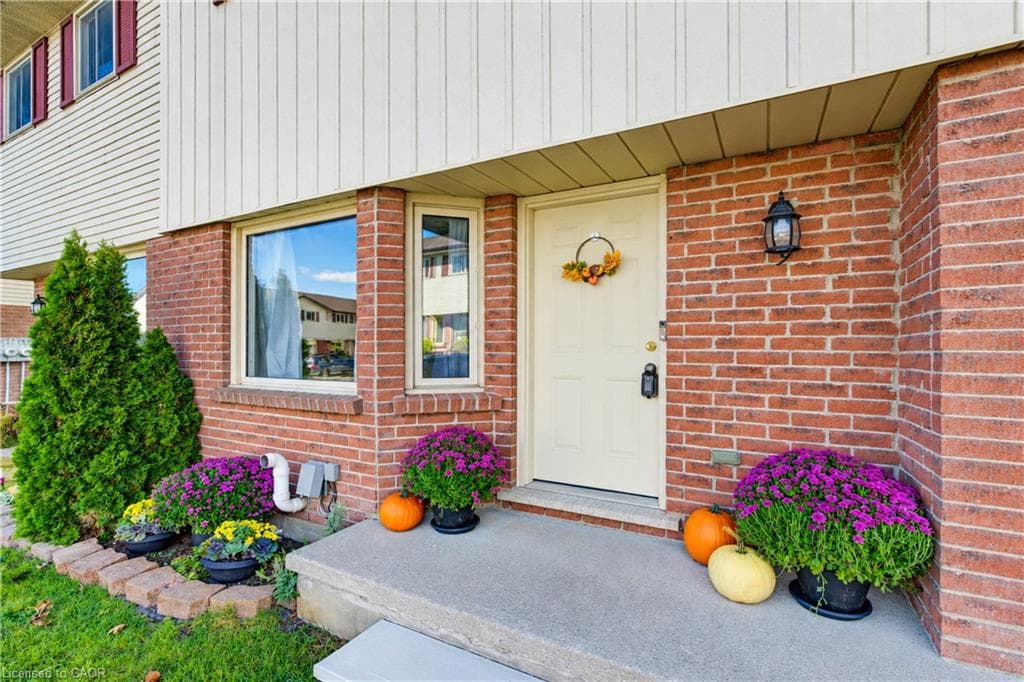 Listing 351722 Image