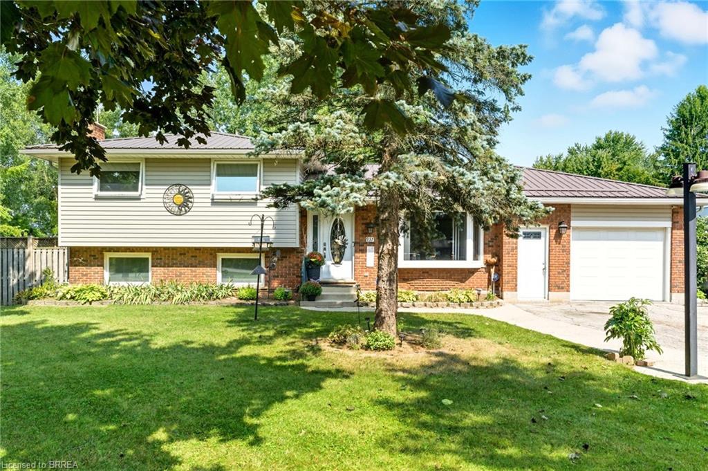 Main Property