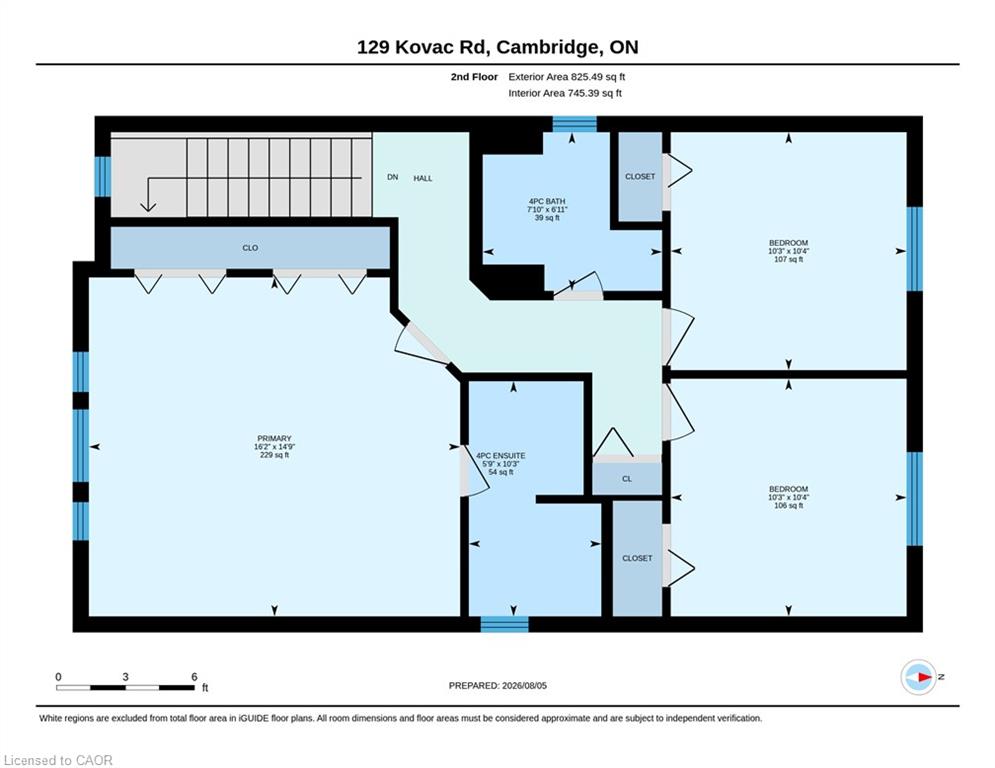 Main Property