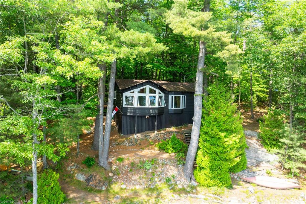 Main Property