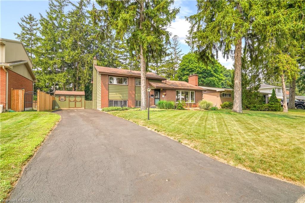 Listing 206494 Image