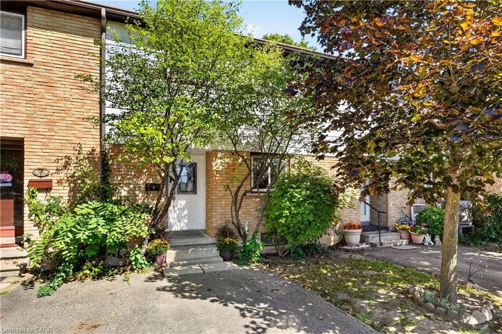 Listing 308225 Image