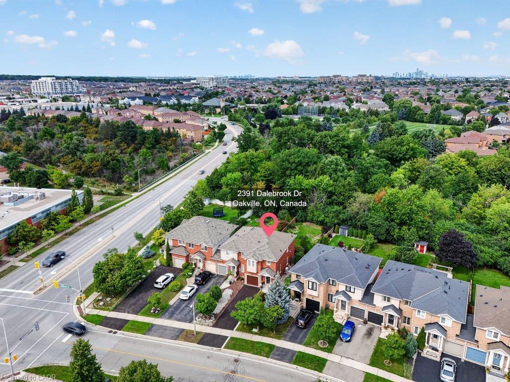 Main Property