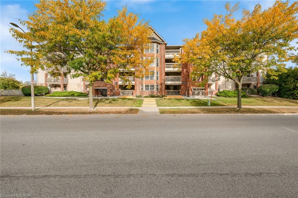 Listing 339901 Image