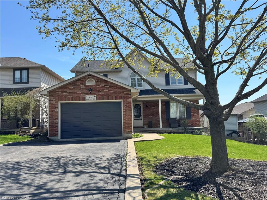 Listing 51811 Image
