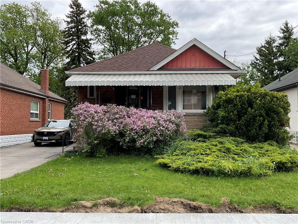 Listing 43528 Image