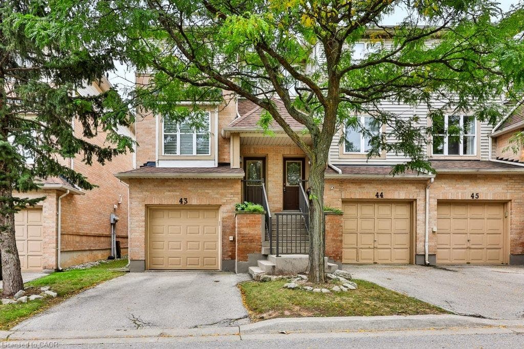 Listing 316246 Image