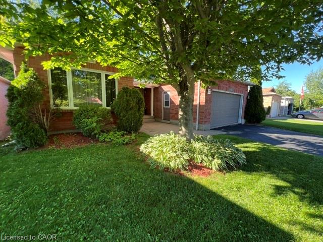 Listing 149482 Image