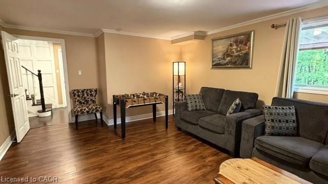 Main Property