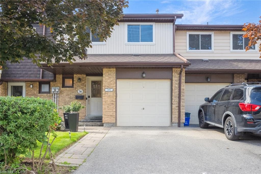 Main Property