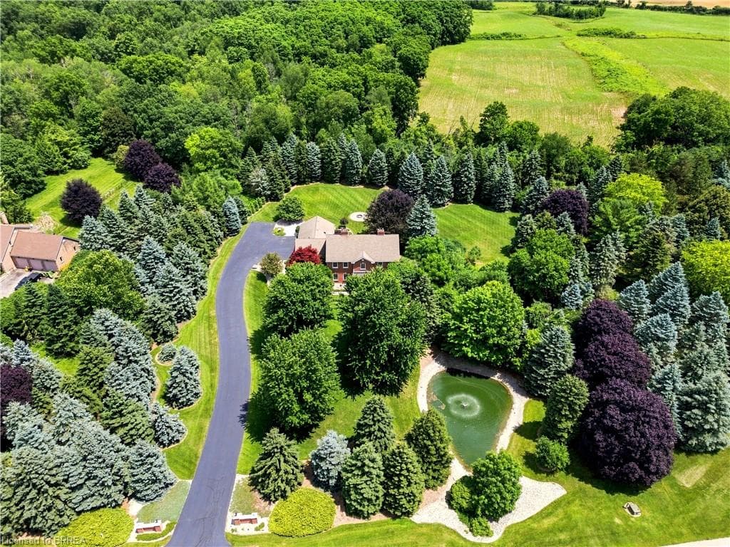Main Property