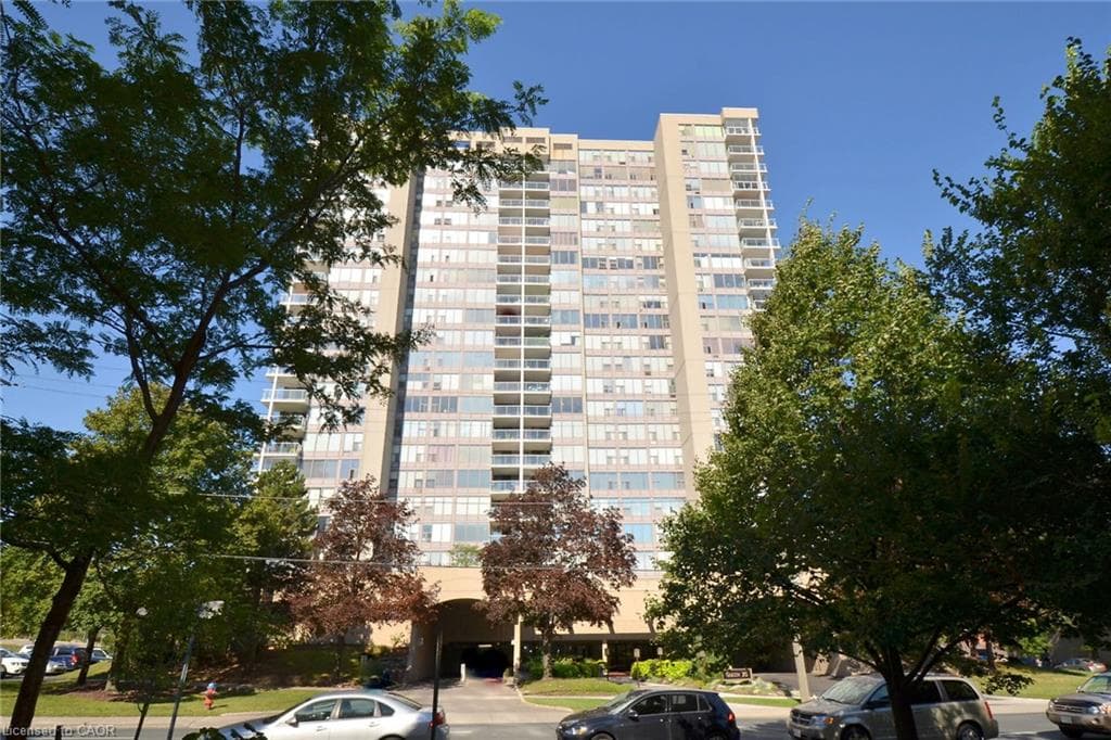 Main Property