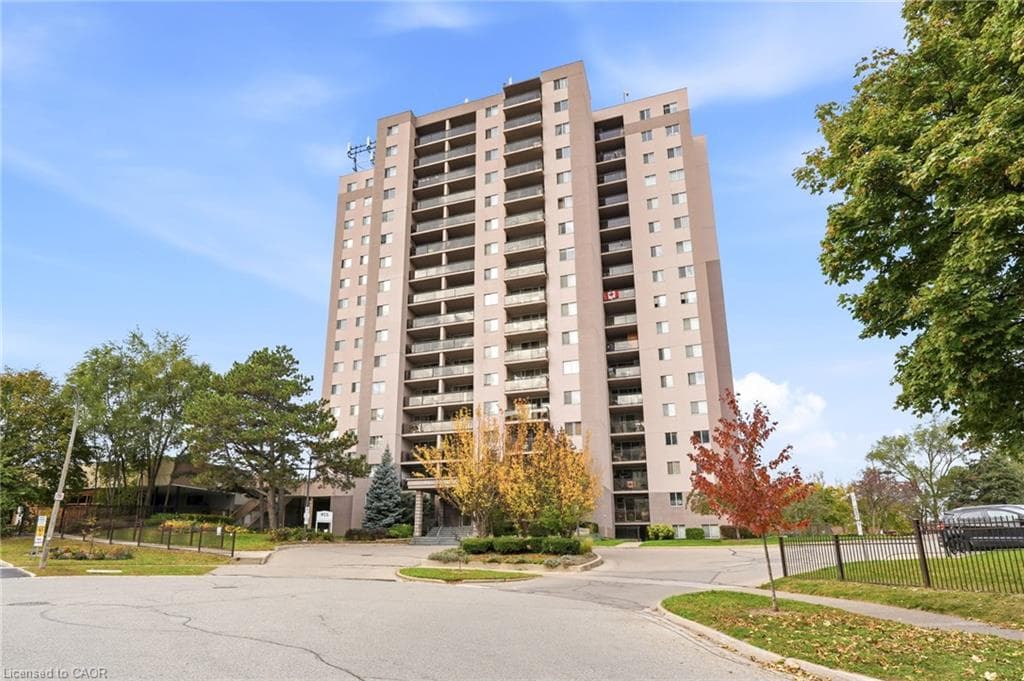 Main Property