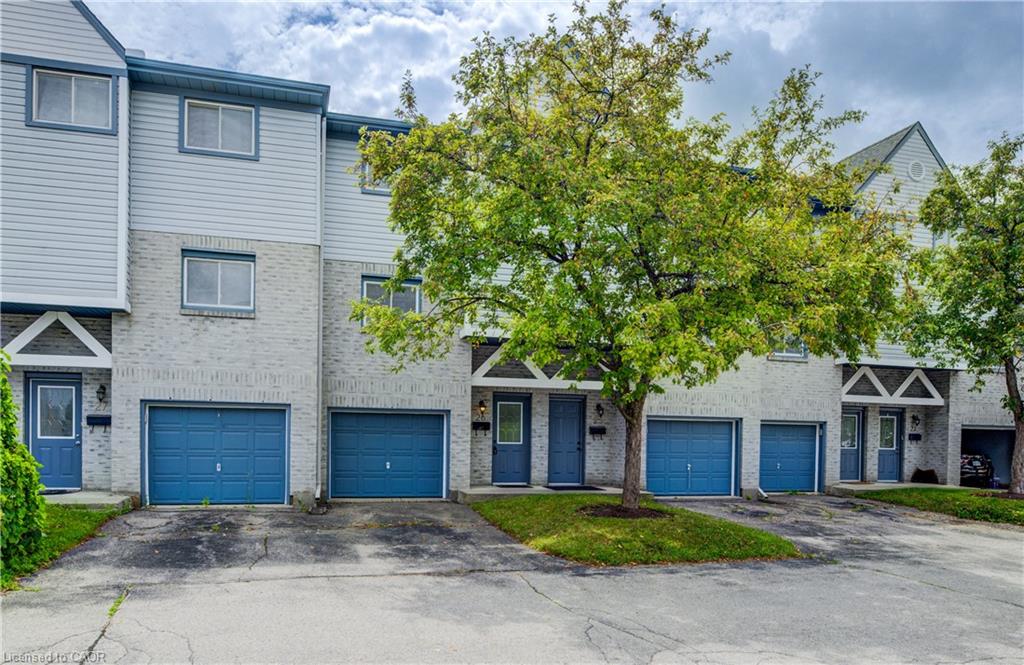 Listing 269165 Image