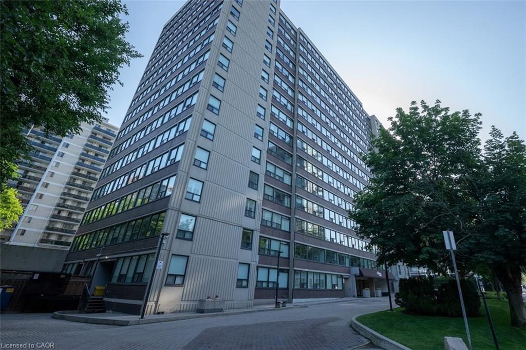 Main Property