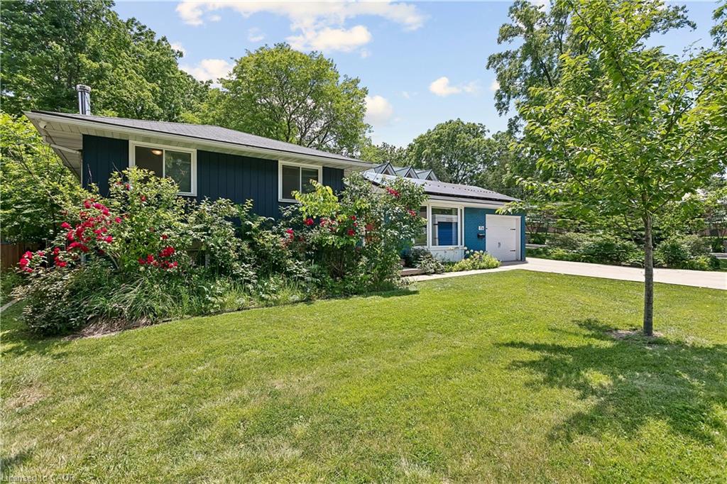 Listing 154665 Image
