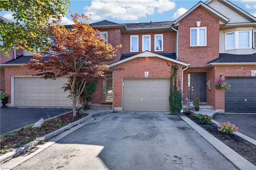 Listing 329619 Image