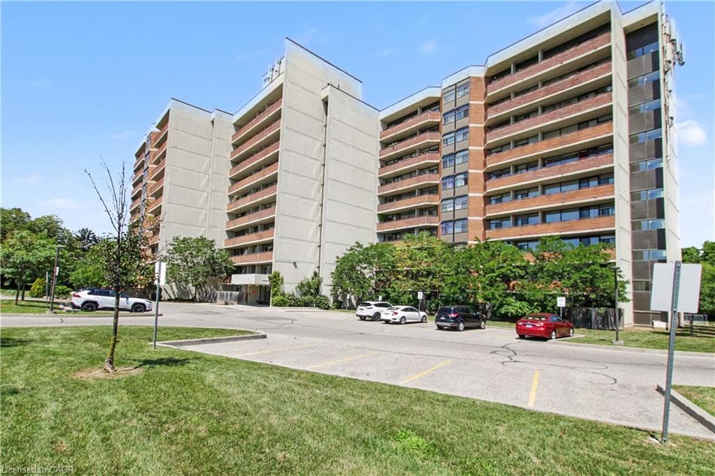 Main Property
