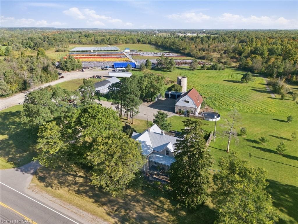 Listing 347037 Image