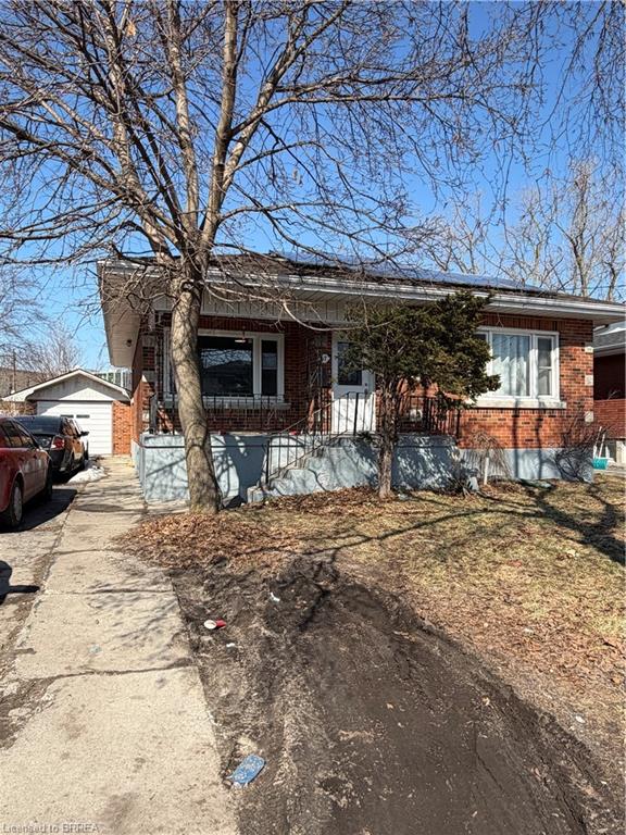Listing 223594 Image