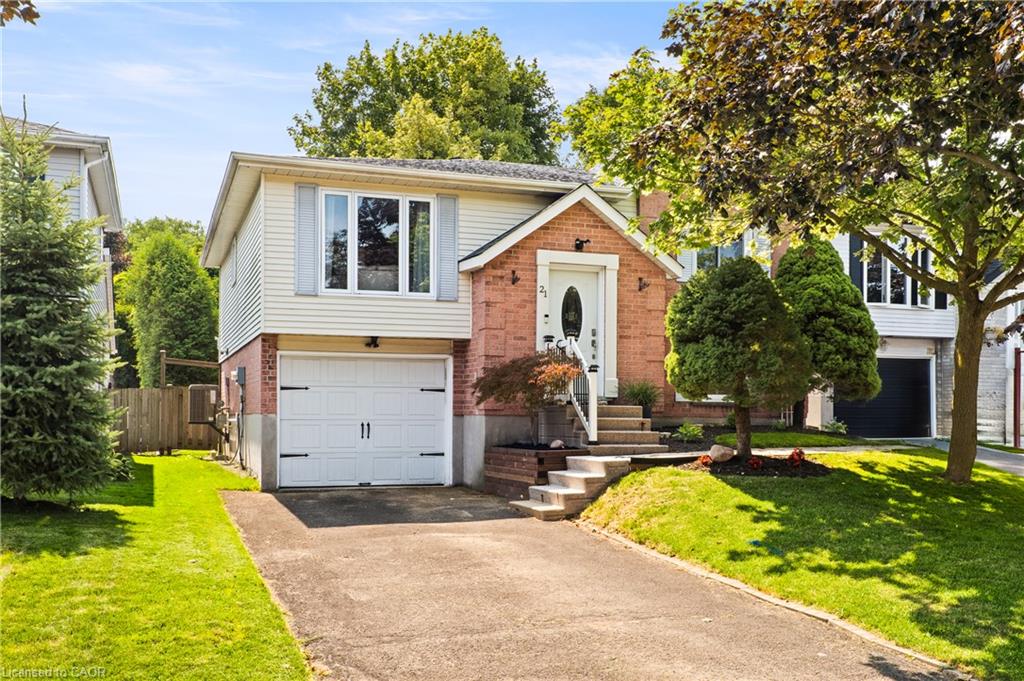 Listing 258224 Image