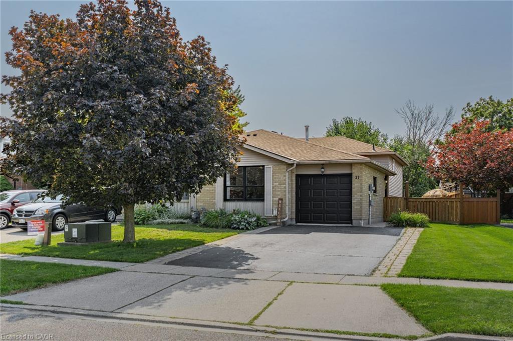 Listing 260627 Image