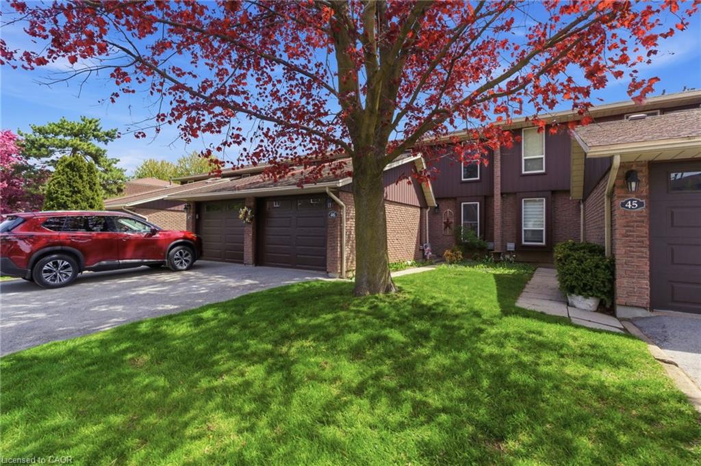 Listing 194194 Image