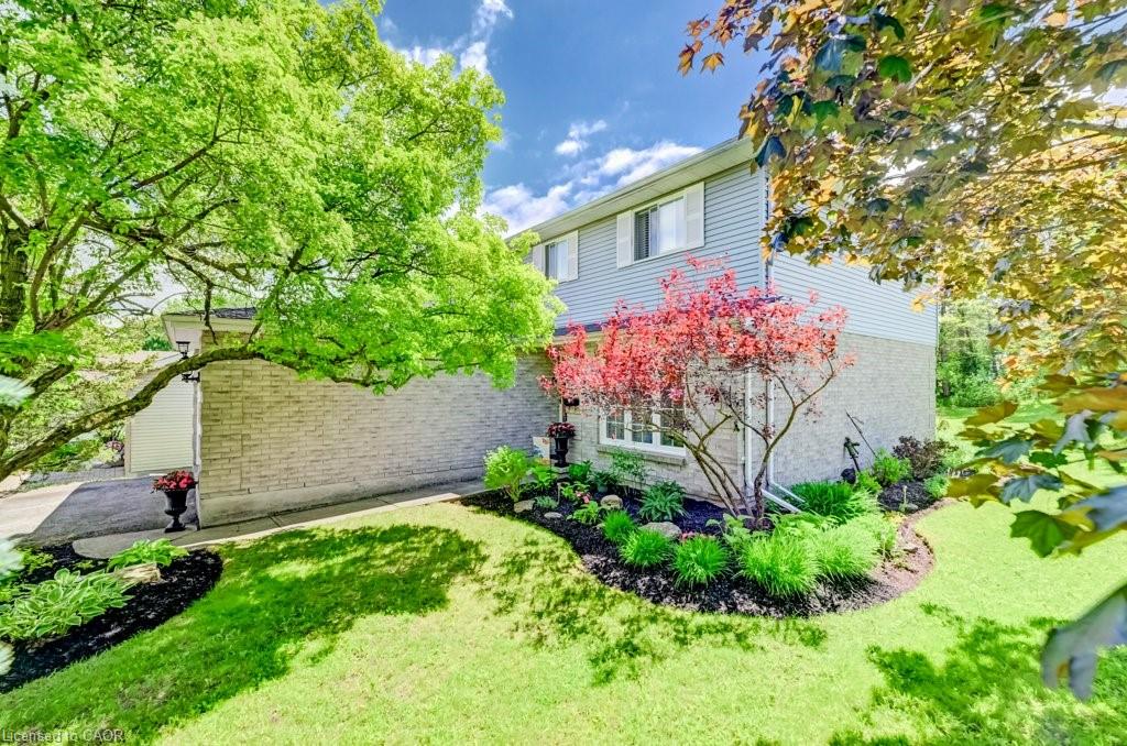 Listing 124909 Image
