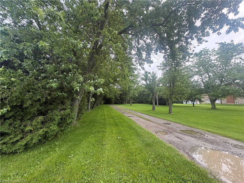 Listing 98477 Image