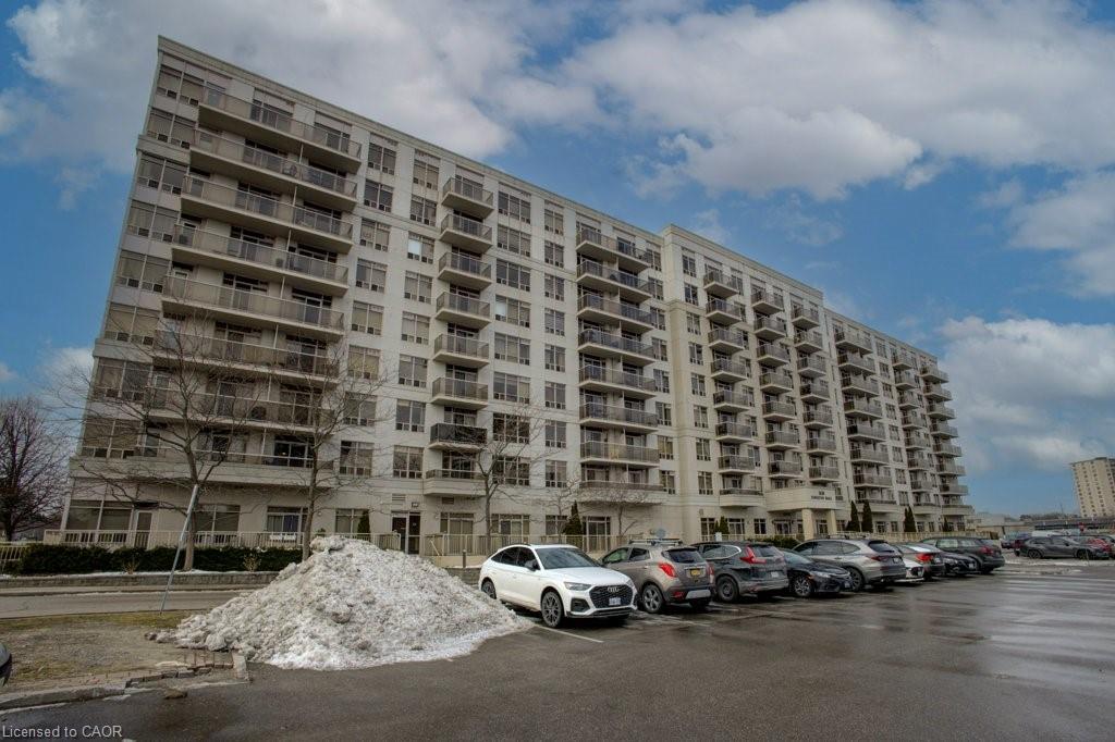 Main Property